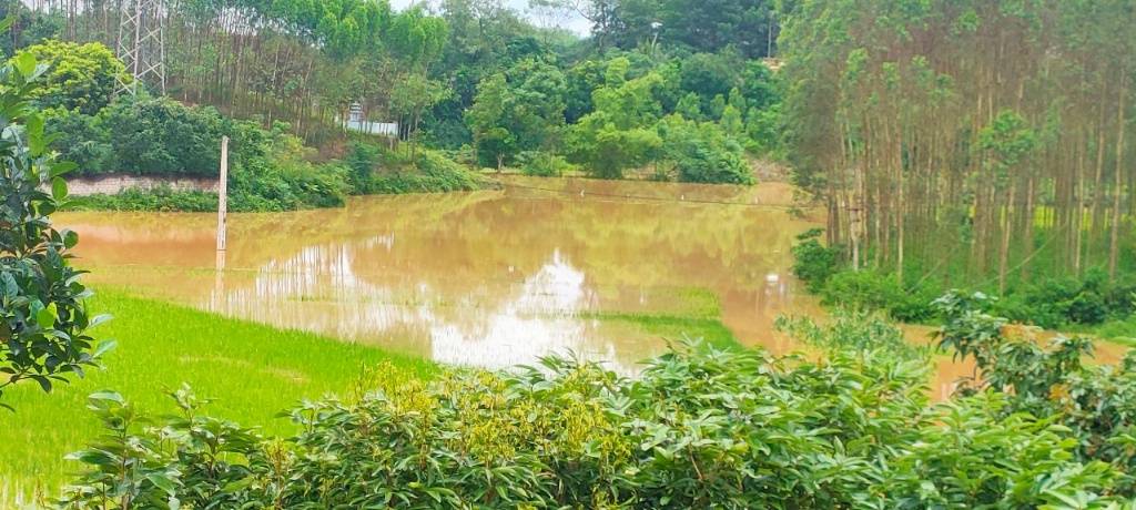 Mưa lớn gây ngập úng ở nhiều nơi trên xã Đồng Lạc|https://donglac.yenthe.bacgiang.gov.vn/vi_VN/chi-tiet-tin-tuc/-/asset_publisher/M0UUAFstbTMq/content/mua-lon-gay-ngap-ung-o-nhieu-noi-tren-xa-ong-lac